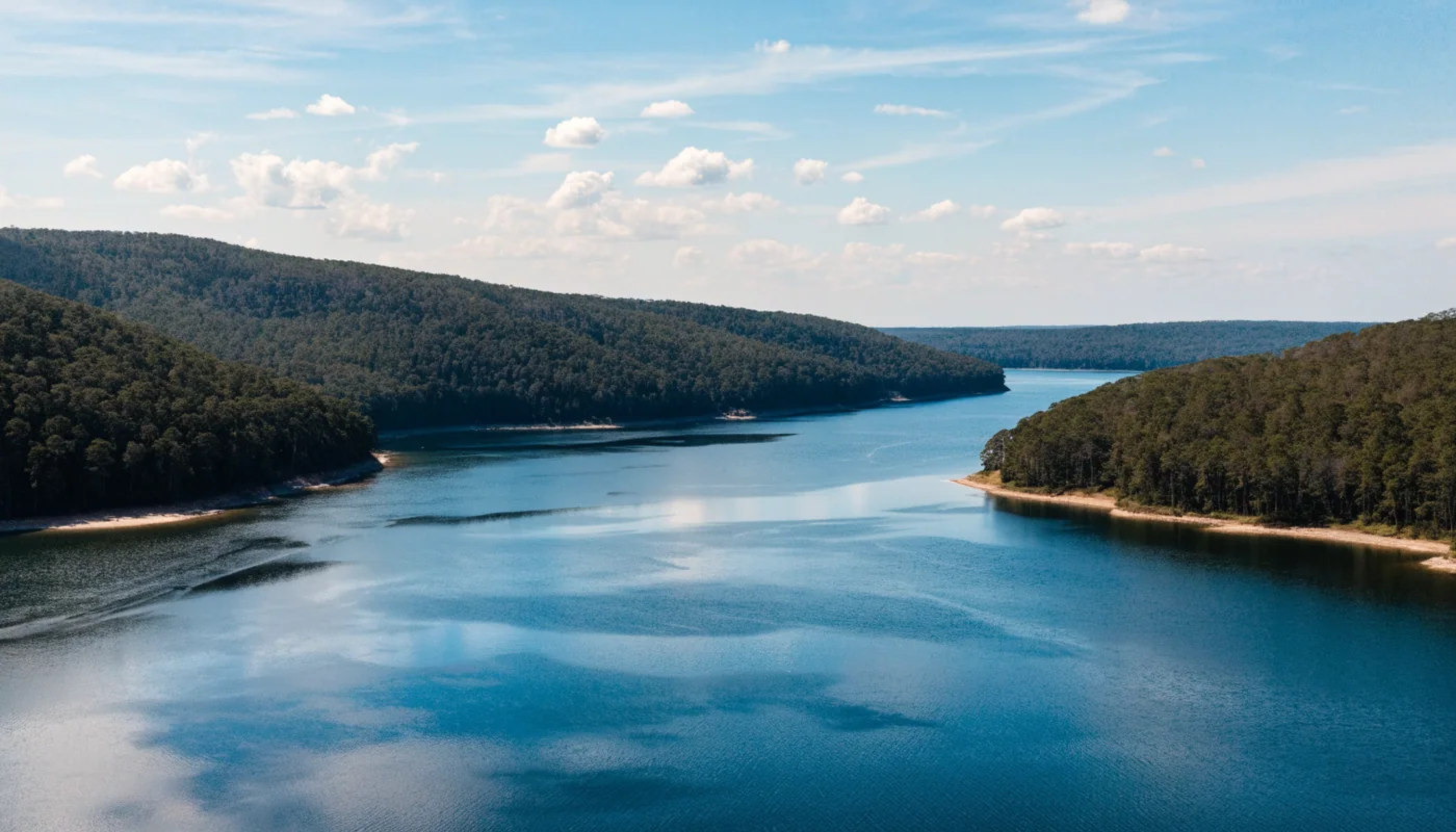 Reservoir water curving between forested peninsulas in a Georgia scene.
