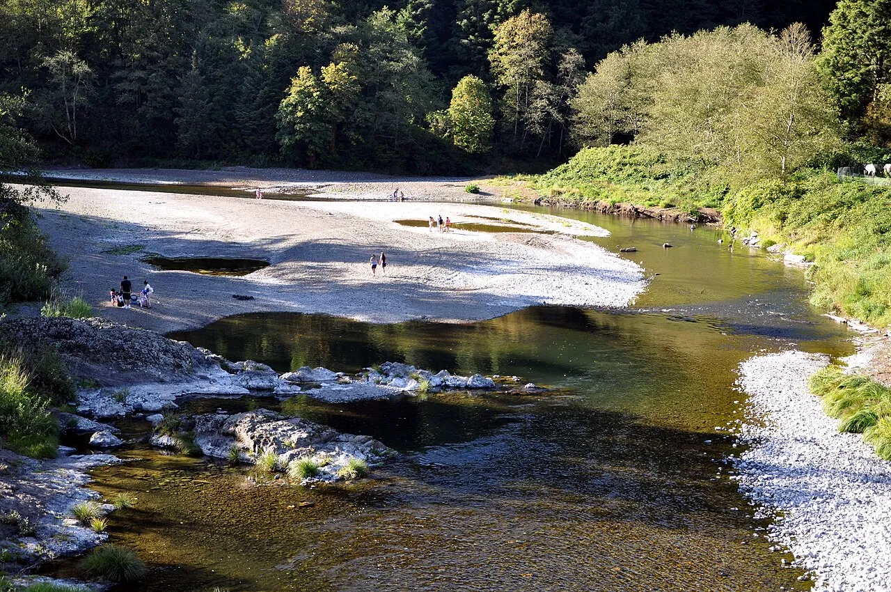 Wilson River upstream of Tillamook, Oregon, in the United States. View is downstream (north) from a bridge carrying State Route 6 over the river.